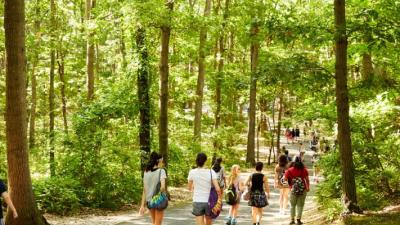 Nature Usdan Summer Camp