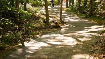 Nature Usdan Summer Camp