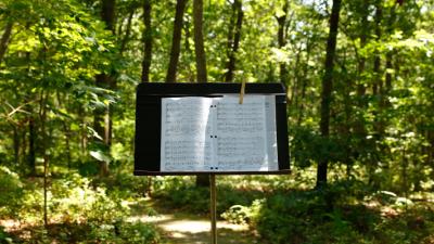 music stand woods 3780 final credit jason varney