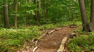 nature path 2773 final credit jason varney