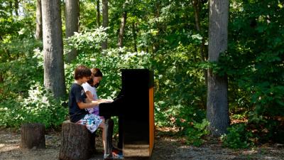 piano in the woods, credit: jason varney
