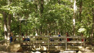  bridge pathway