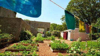  organic garden