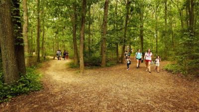  pathway
