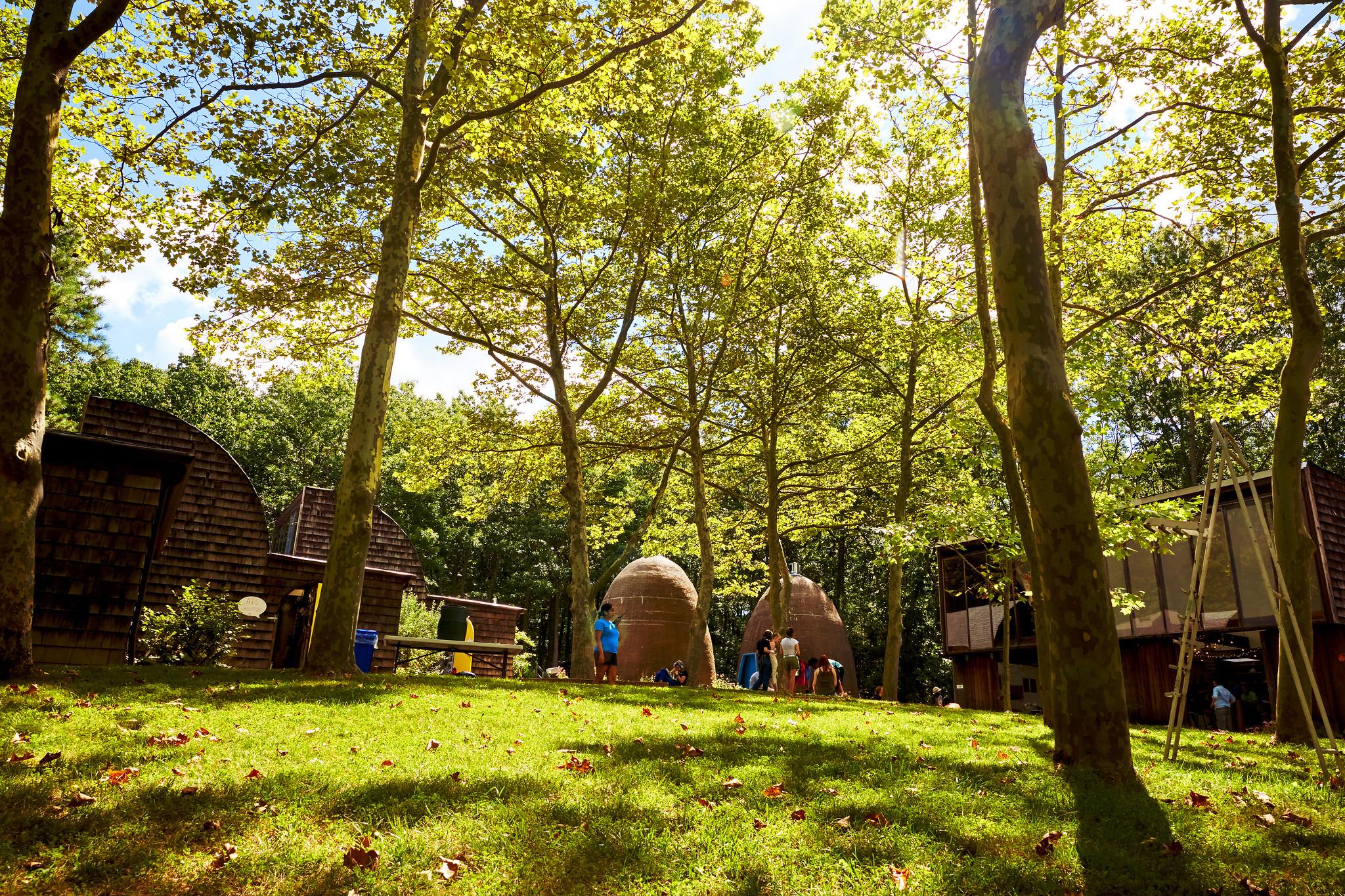 Photo of campus in summertime