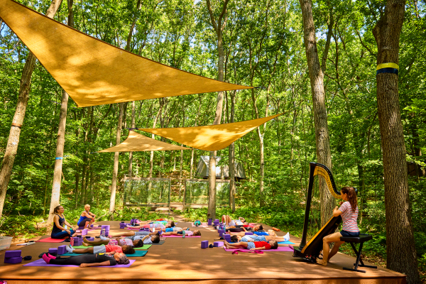 Students on yoga platforms