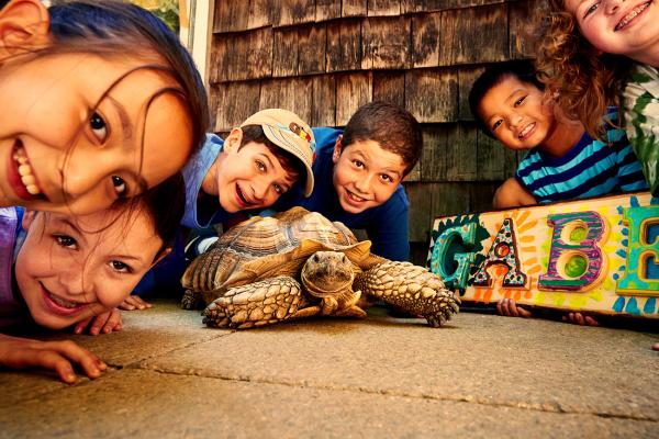 Smiling nature camp students on Long Island surrounded by a tortoise