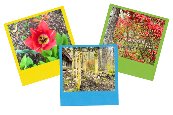 Springtime at Usdan