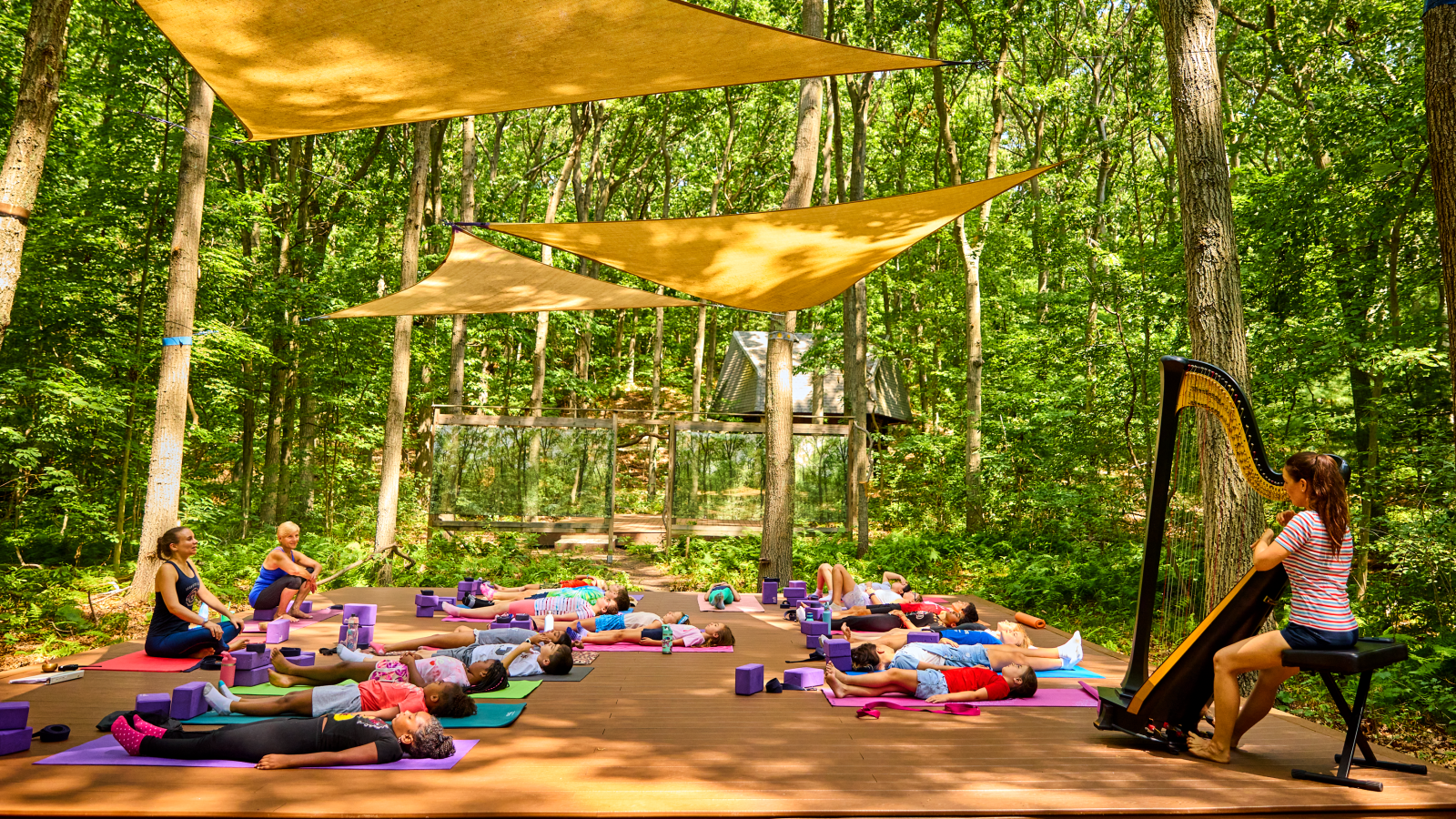 Students on yoga platforms