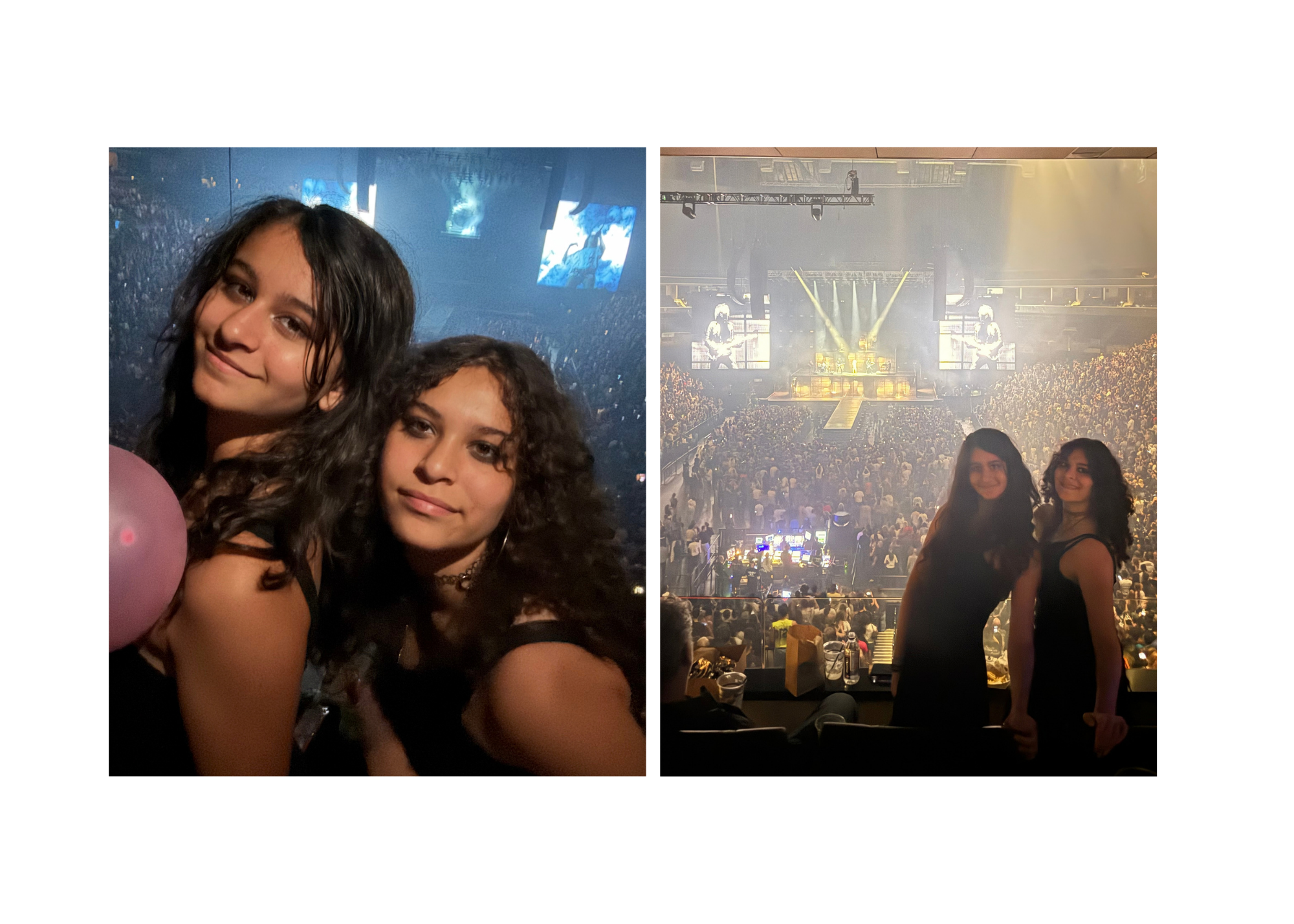Charli XCX concert, 2026 