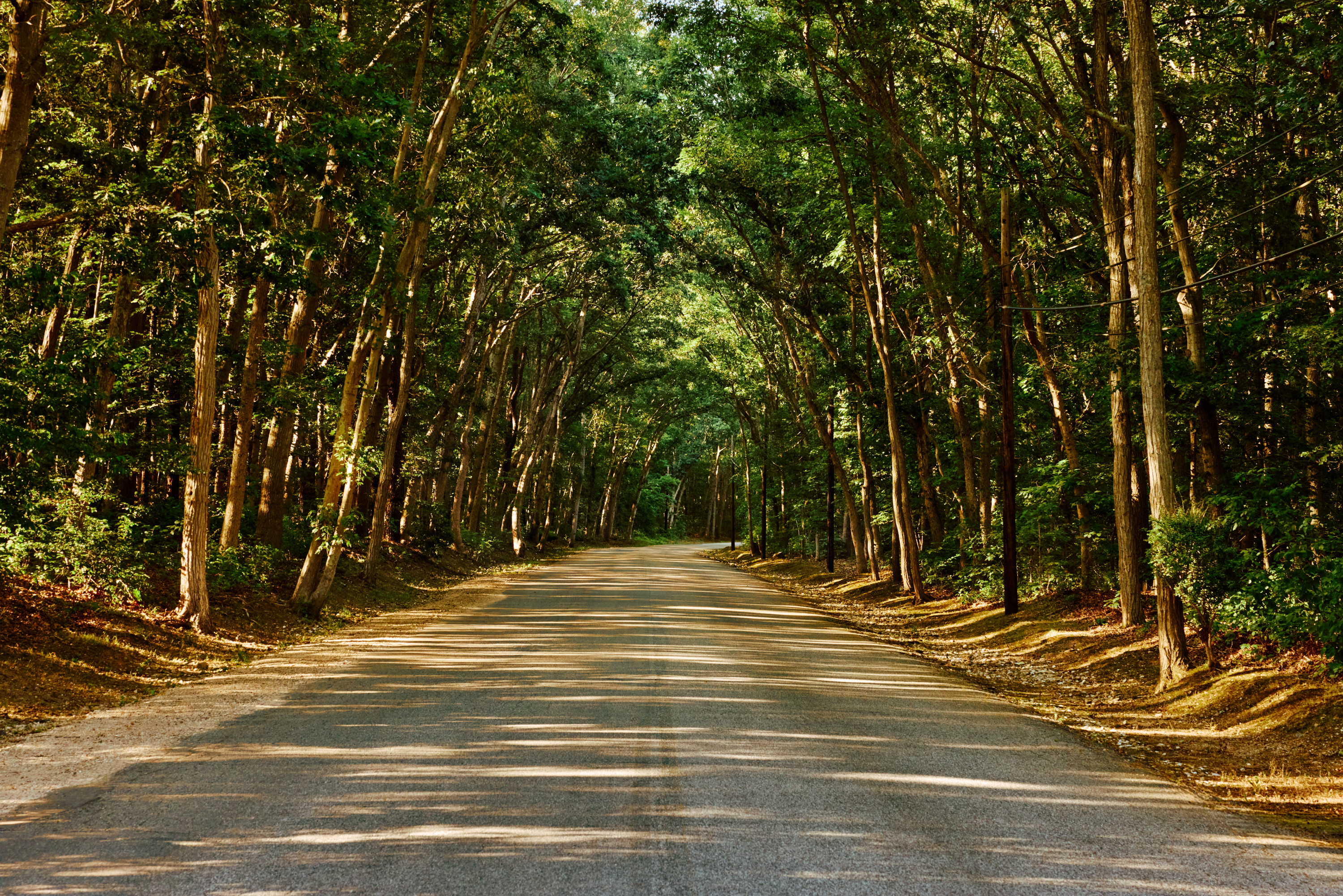Campus Path