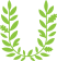 Laurel Wreath Icon